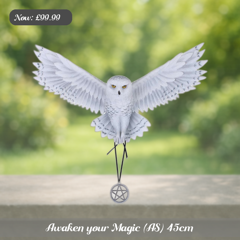 Awaken your Magic (AS) 45cm Ad 5