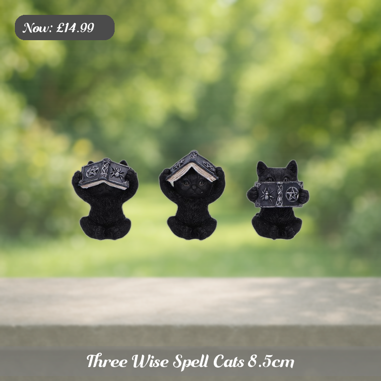 Three Wise Spell Cats 8.5cm Ad 5