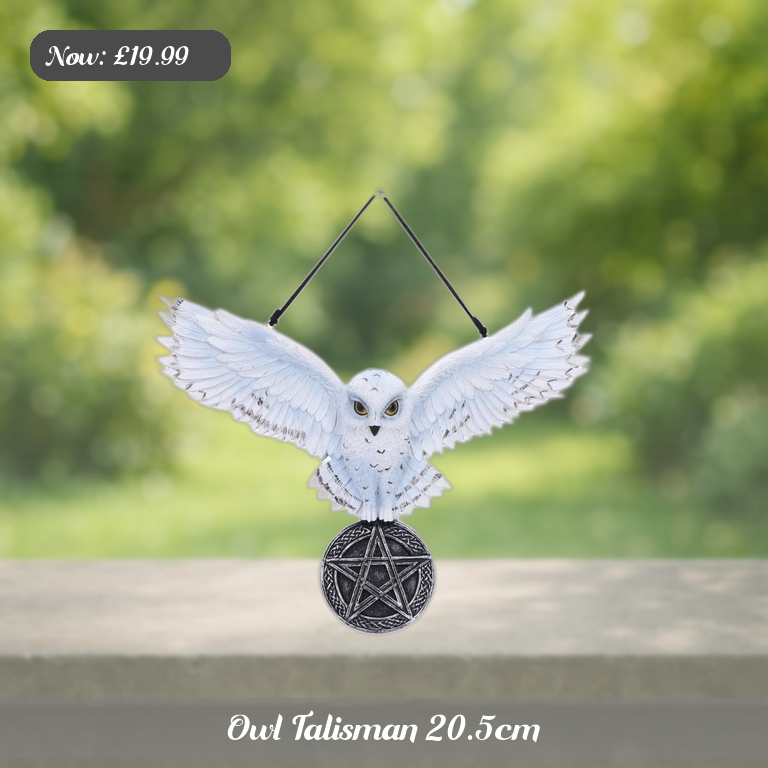 Owl Talisman 20.5cm Ad 5