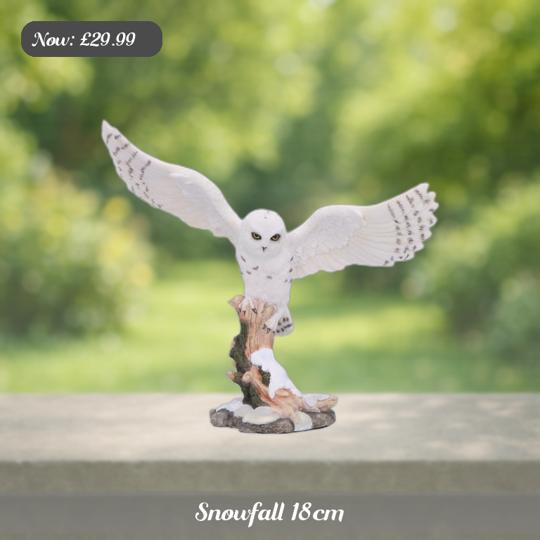 Snowfall 18cm Ad 5