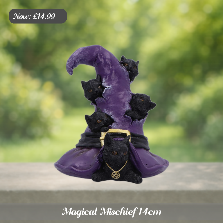 Magical Mischief 14cm Ad 5