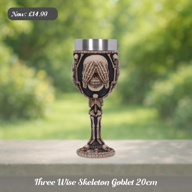 Three Wise Skeleton Goblet 20cm Ad 5