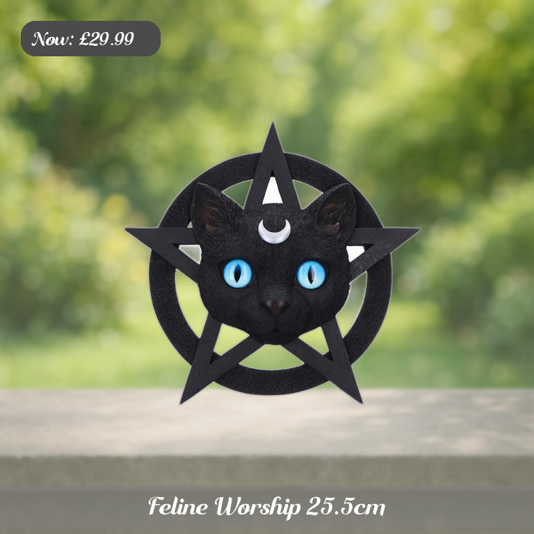 Feline Worship 25.5cm Ad 5