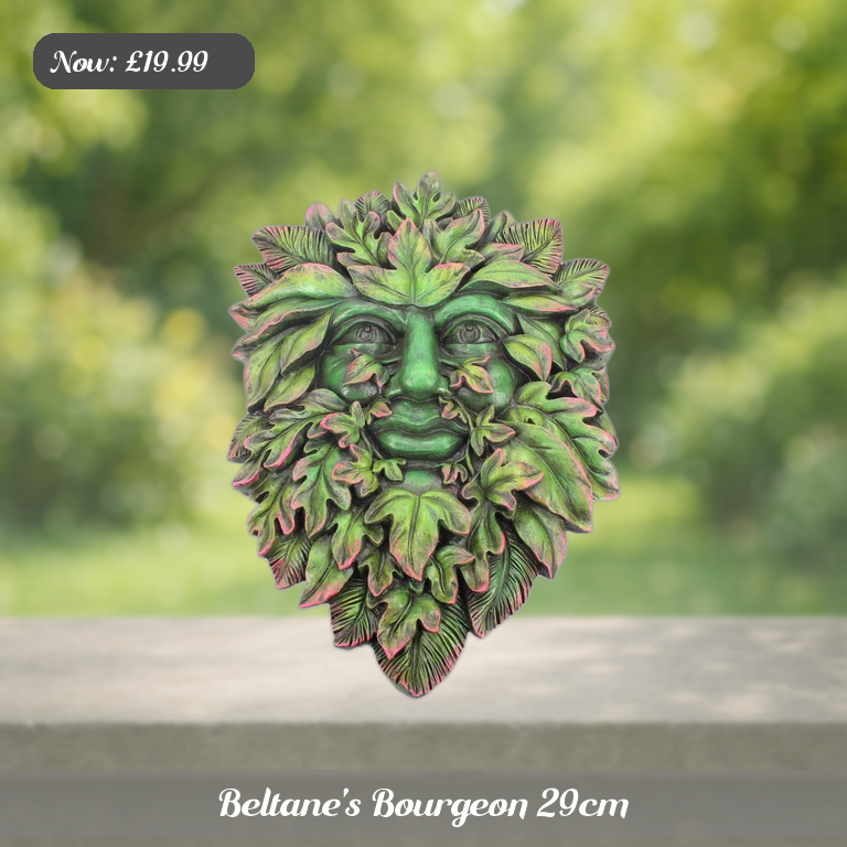 Beltane's Bourgeon 29cm Ad 5
