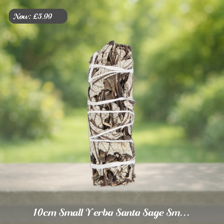 10cm Small Yerba Santa Sage Sm… Ad 5