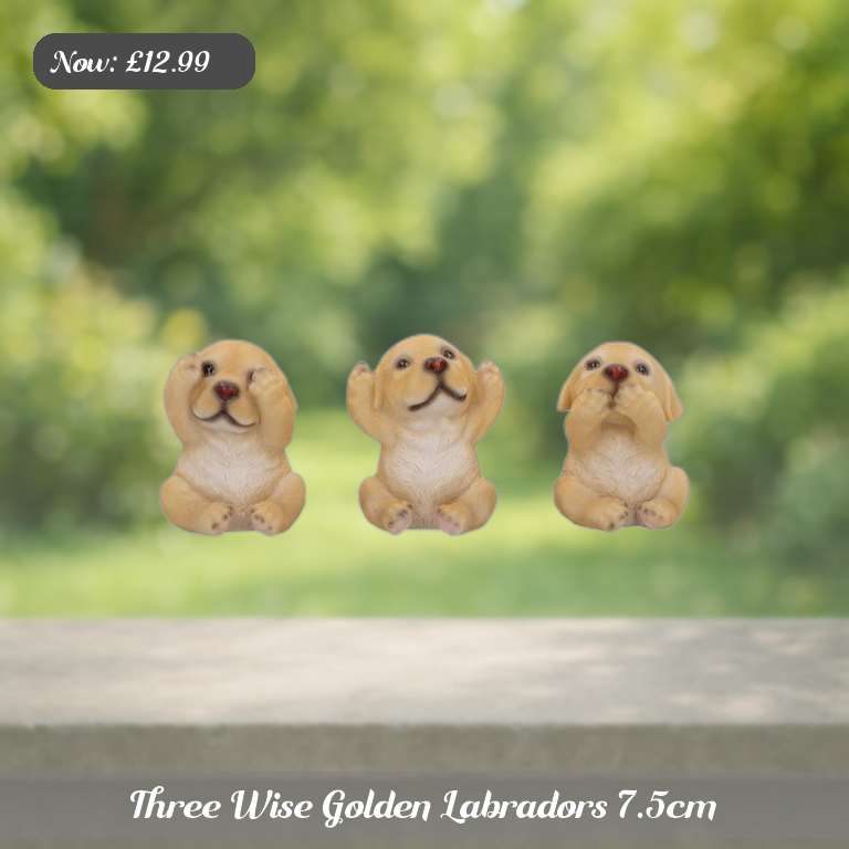 Three Wise Golden Labradors 7.5cm Ad 5