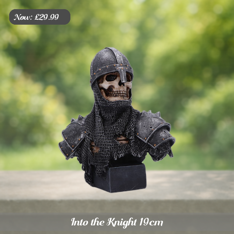 Into the Knight 19cm Ad 5