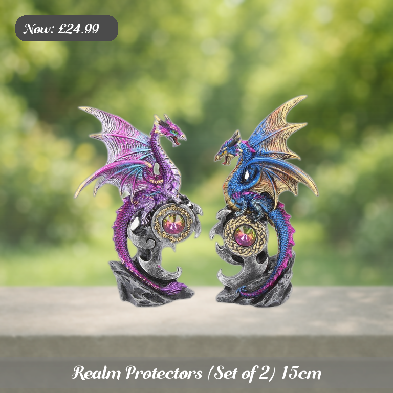 Realm Protectors (Set of 2) 15cm Ad 5