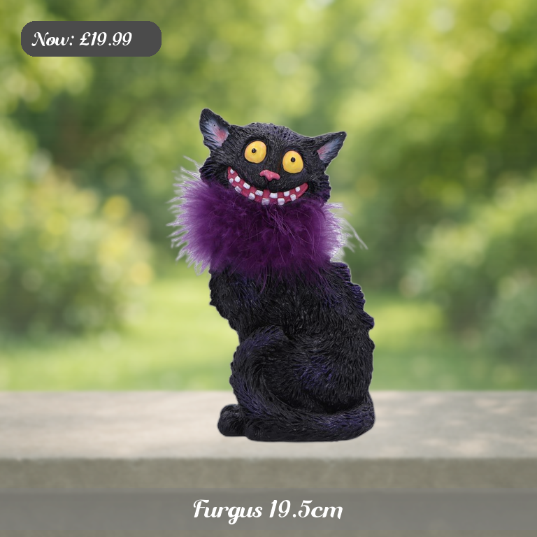 Furgus 19.5cm Ad 5
