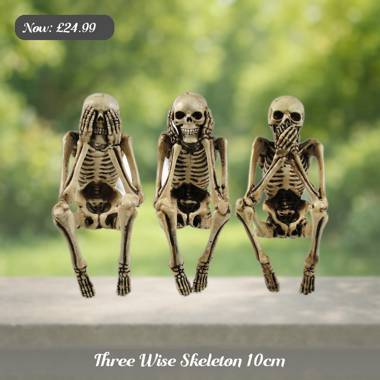 Three Wise Skeleton 10cm Ad 5