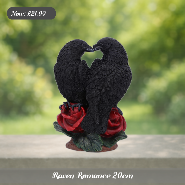 Raven Romance 20cm Ad 5