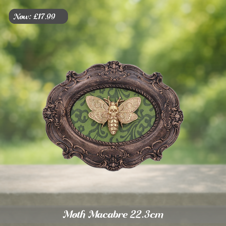Moth Macabre 22.3cm Ad 5