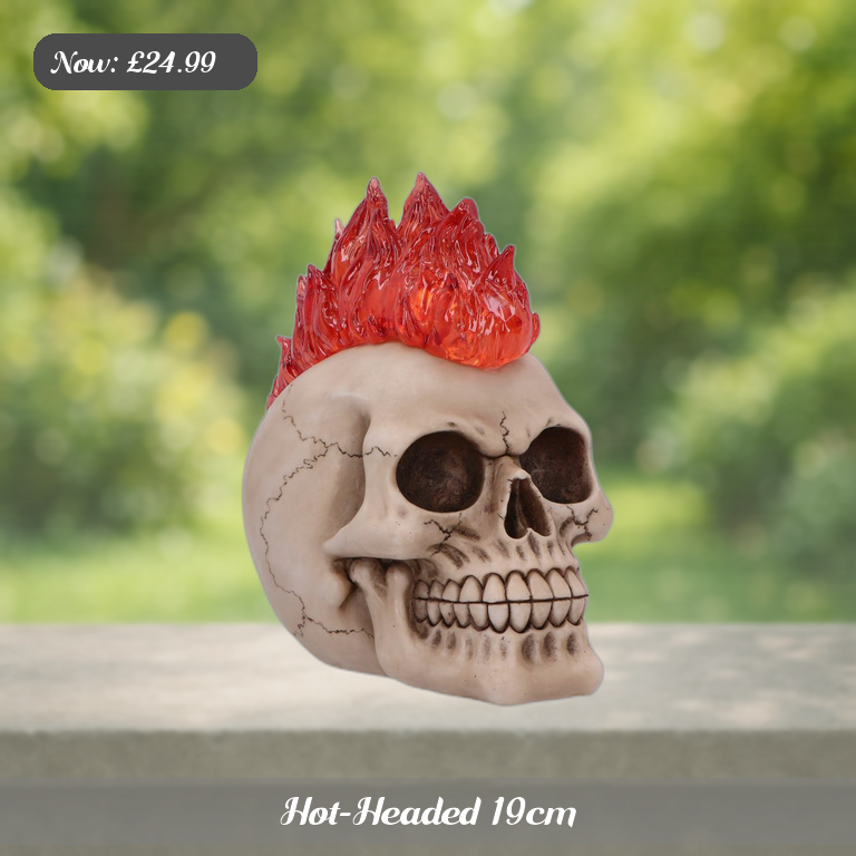 Hot-Headed 19cm Ad 5