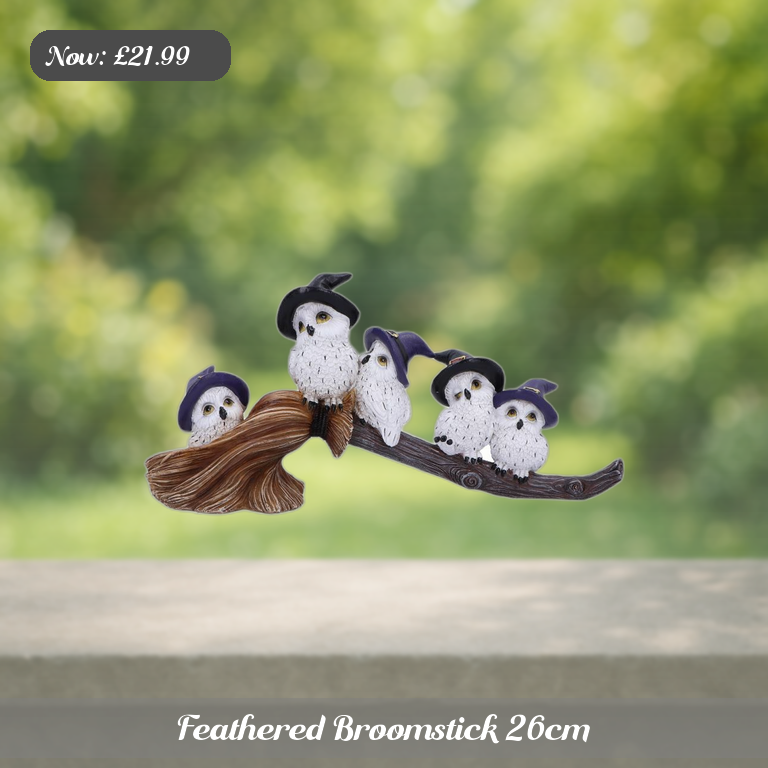 Feathered Broomstick 26cm Ad 5