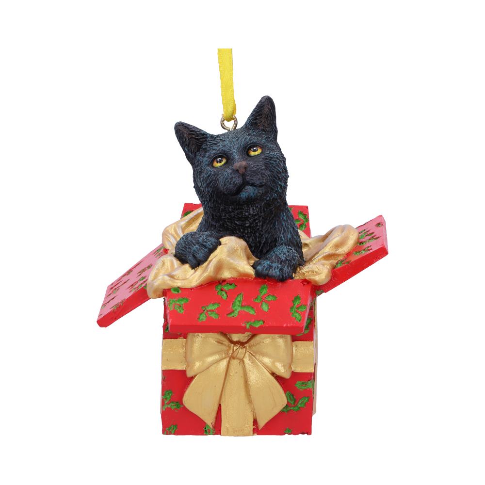 Present Cat Hanging Ornament 9cm