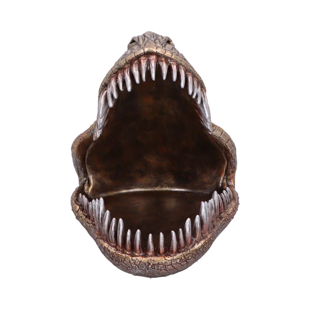 Tyrannosaurus Rex Dish 24cm