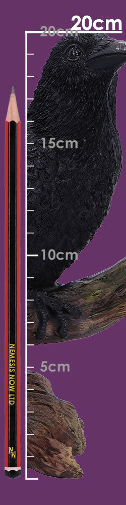 Ravens Perch 20cm