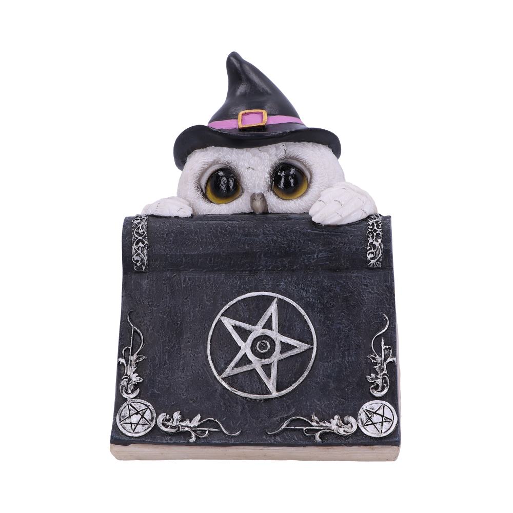Owl's Spell 15cm