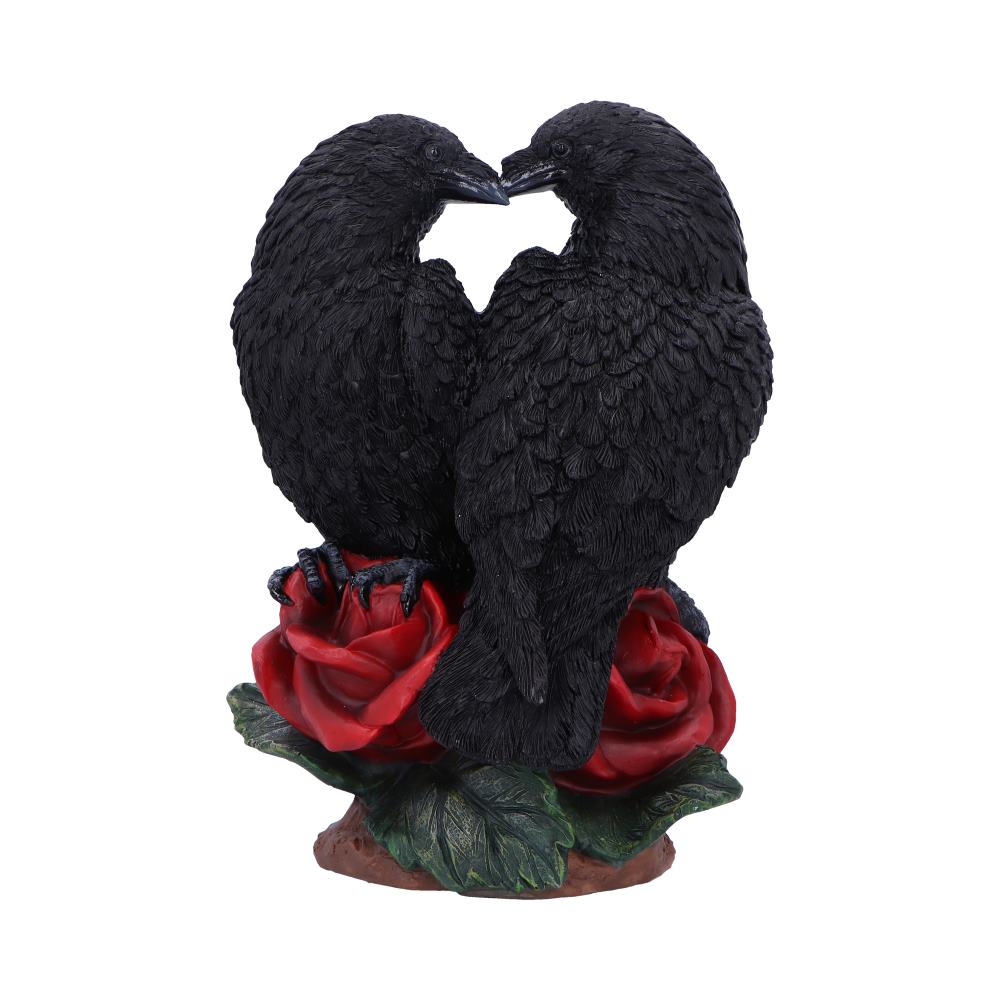 Raven Romance 20cm