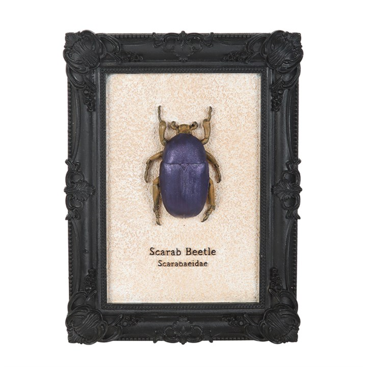 Scarab Beetle Framed Wall Art Print