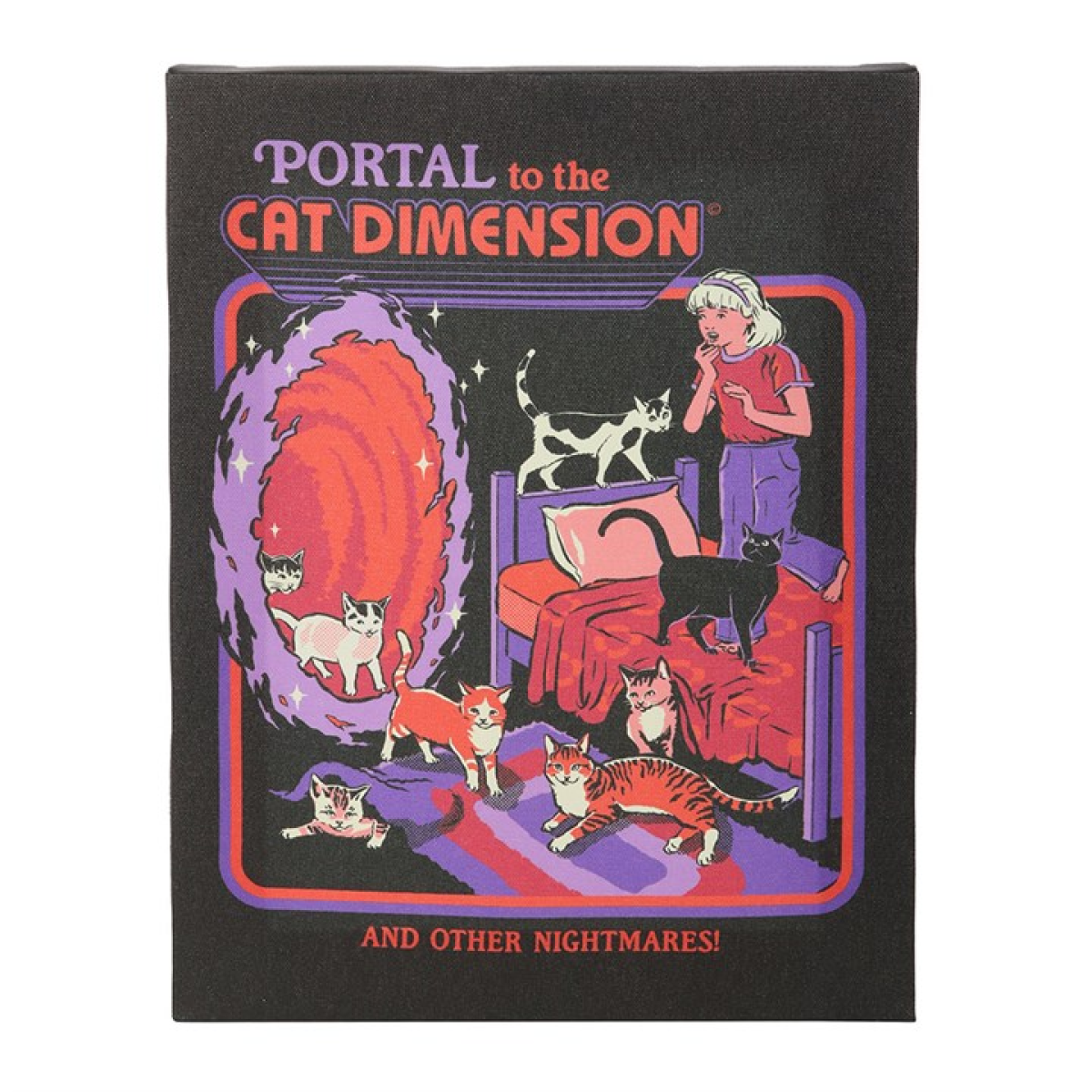 19x25cm The Cat Dimension Canvas Plaque by Steven Rhodes