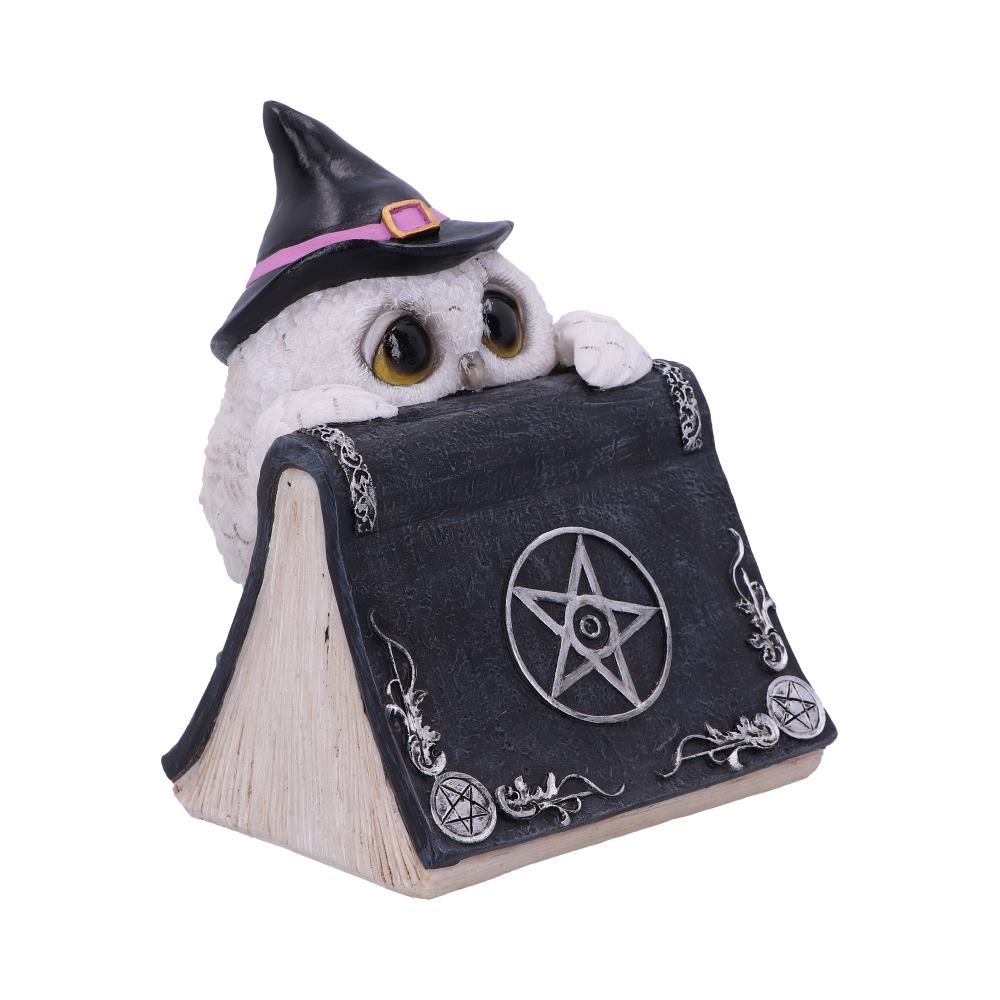 Owl's Spell 15cm