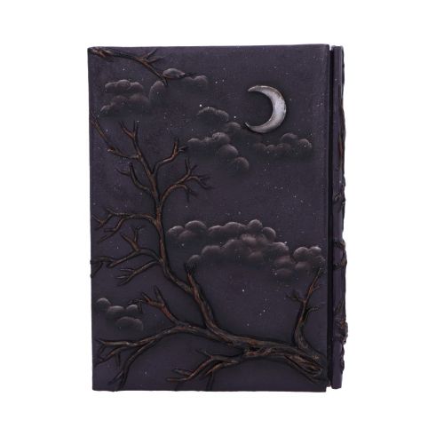 Raven's Grimoire Journal 19cm