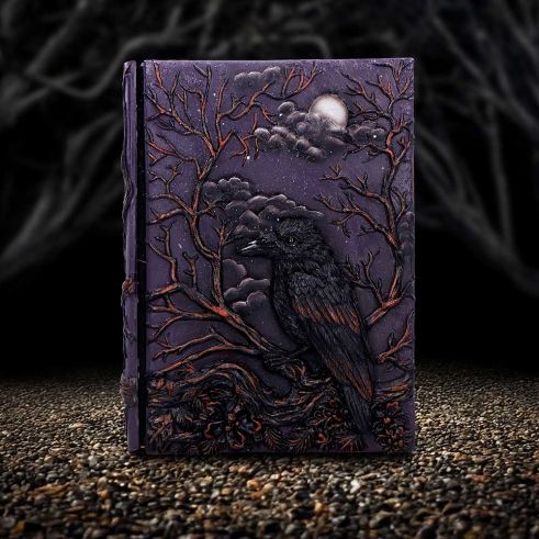Raven's Grimoire Journal 19cm
