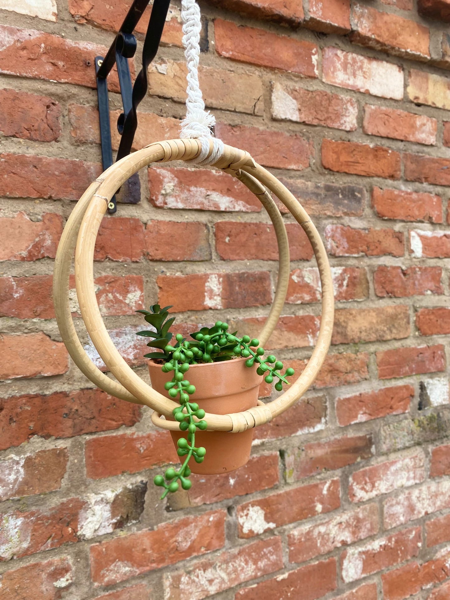 Faux Succulent In Bamboo Hanger