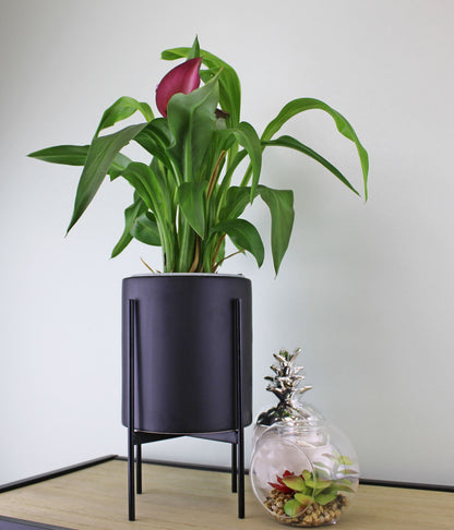 Black Planter Metal Stand 28cm