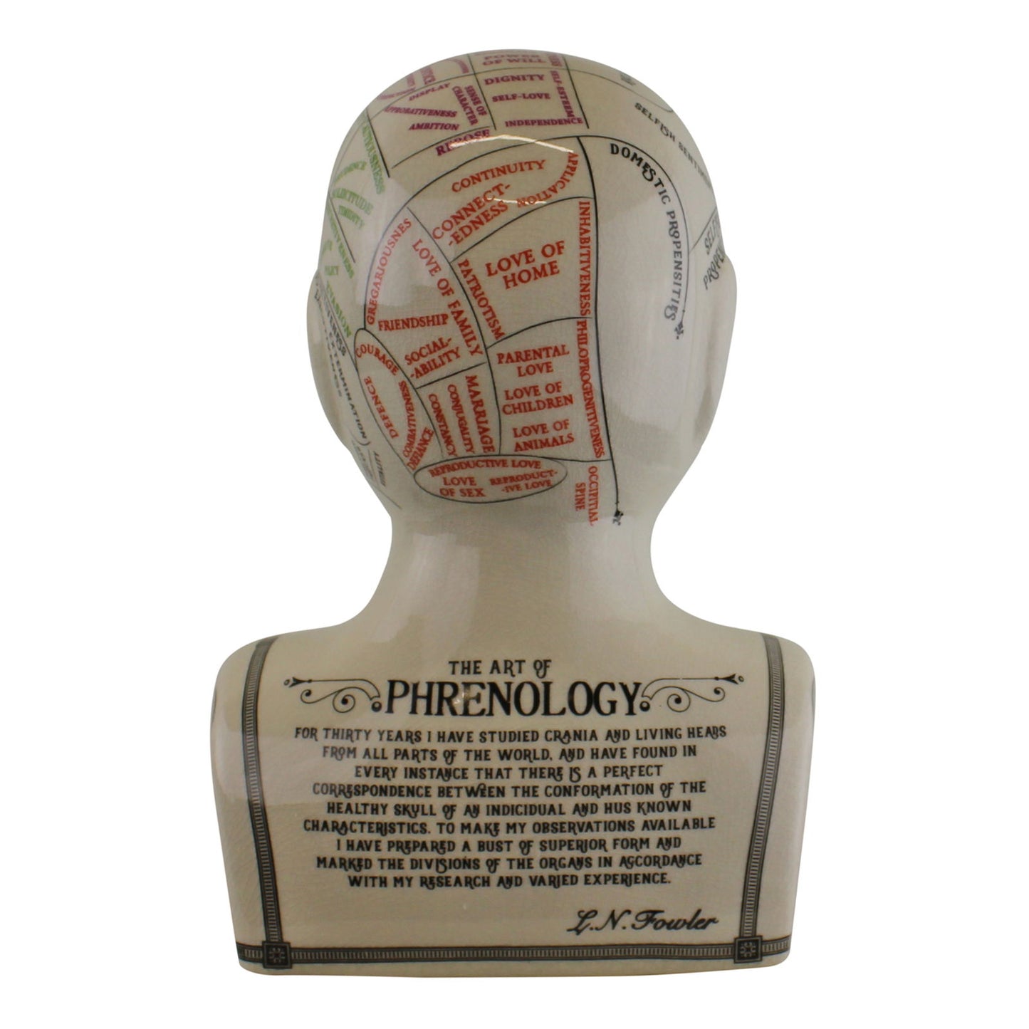 Large Ceramic Crackle Phrenology Head