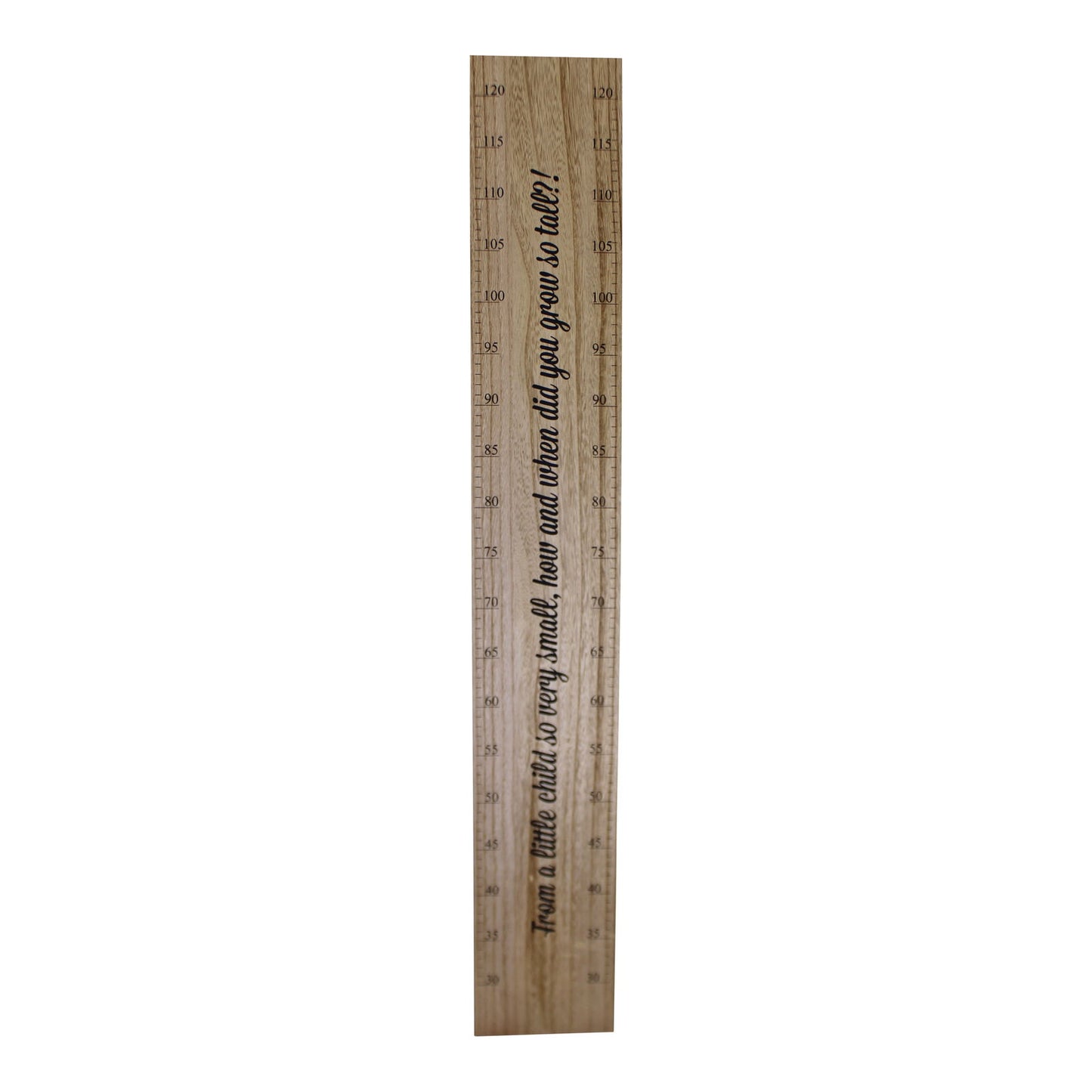 Height Chart Wall Plaque, How Did You Grow So Tall?, 100cm