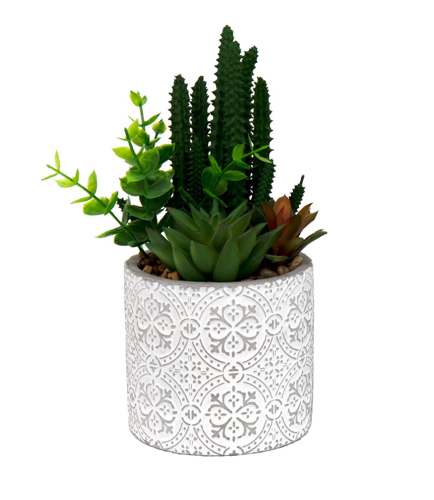 Succulents In Aztec Embossed Pot