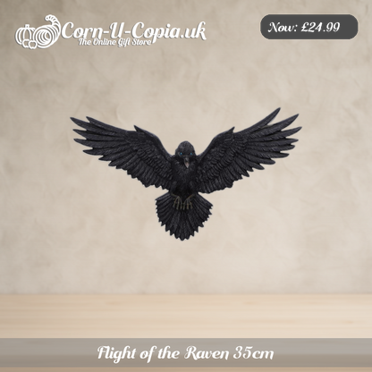 Flight of the Raven 35cm Ad 1