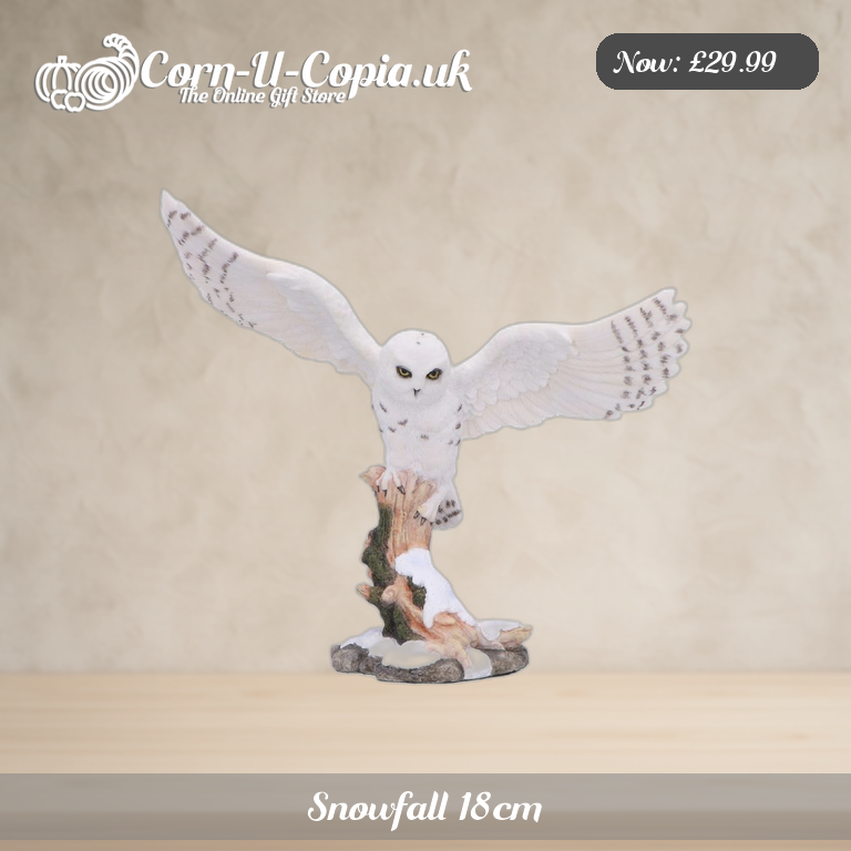 Snowfall 18cm Ad 1