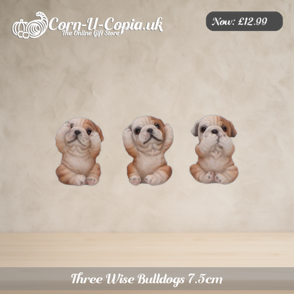 Three Wise Bulldogs 7.5cm Ad 1