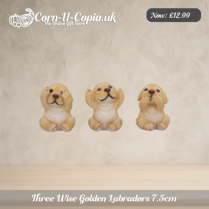 Three Wise Golden Labradors 7.5cm Ad 1