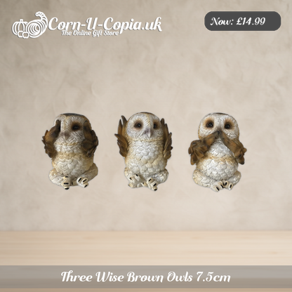 Three Wise Brown Owls 7.5cm Ad 1