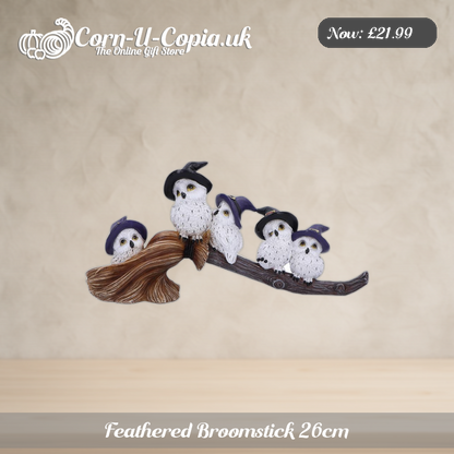 Feathered Broomstick 26cm Ad 1