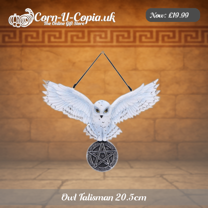 Owl Talisman 20.5cm Ad 1
