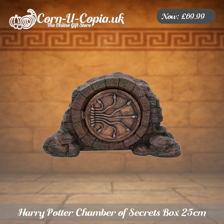 Harry Potter Chamber of Secrets Box 25cm Ad 1