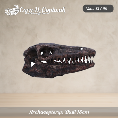 Archaeopteryx Skull 18cm Ad 1