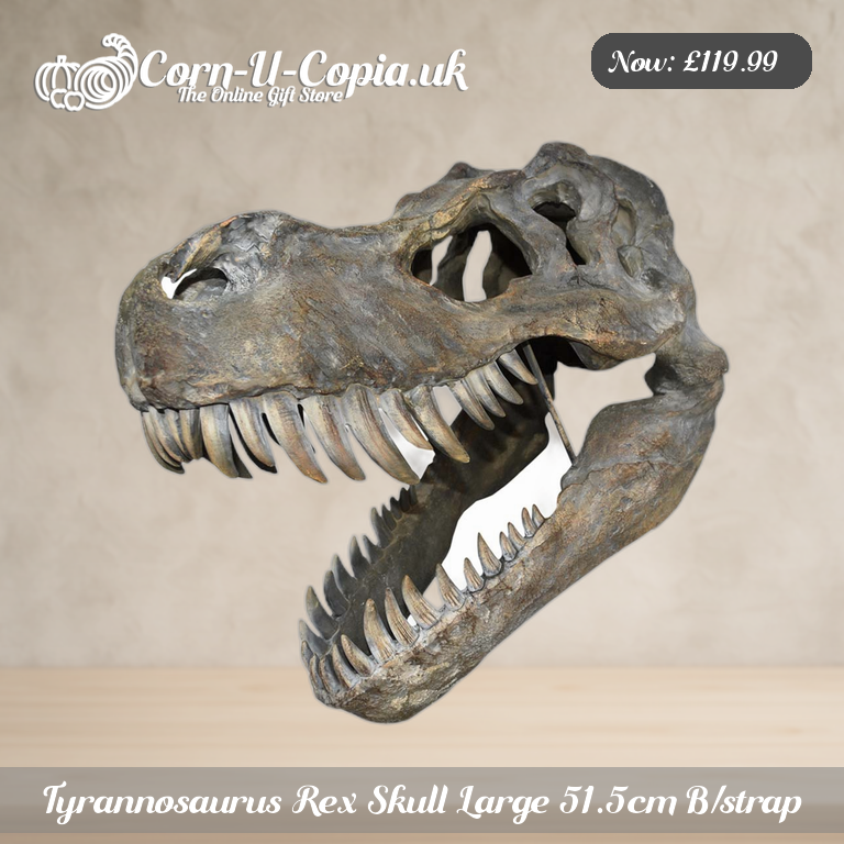 Tyrannosaurus Rex Skull Large 51.5cm B/strap Ad 1