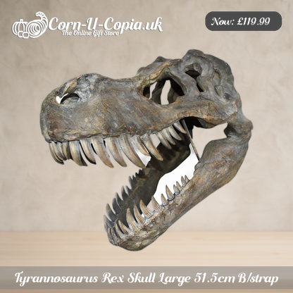 Tyrannosaurus Rex Skull Large 51.5cm B/strap Ad 1
