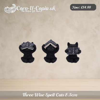 Three Wise Spell Cats 8.5cm Ad 1