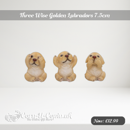Three Wise Golden Labradors 7.5cm Ad 2