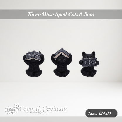 Three Wise Spell Cats 8.5cm Ad 2