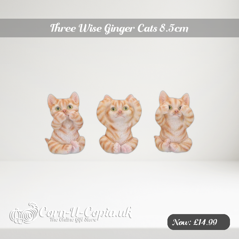 Three Wise Ginger Cats 8.5cm Ad 2