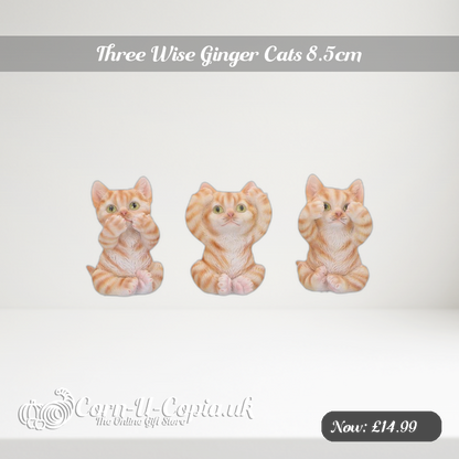Three Wise Ginger Cats 8.5cm Ad 2