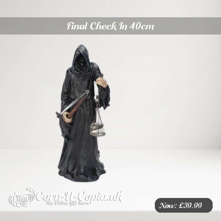 Final Check In 40cm Ad 2